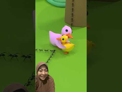 Bebek menolong semut #duck #semut #wow