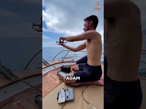 Bu Köpekbalığı Balinayı Kurtarmak için Yardım istiyor 🦈😍
