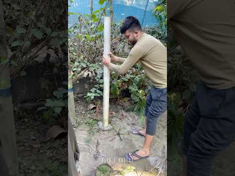 খুলে দিয়েছি আমার মাছের ট্যাংকের পানির পাইপ 😳 #birdsvalley #fish