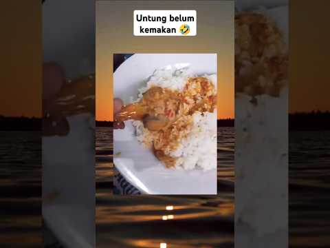 Ngakak 🤣 #viralvideo #memes #shortvideo #funny #ngakak #fyp #shorts #viral #fypシ゚