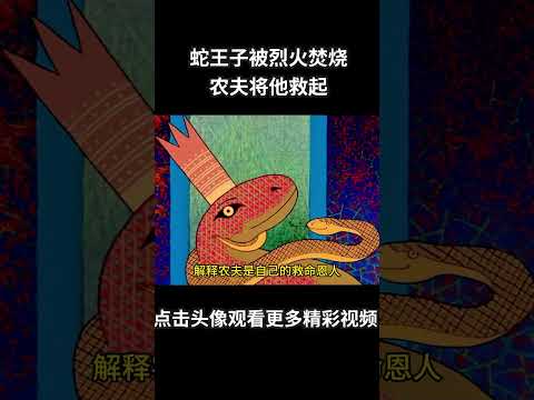 蛇王子被烈火灼烧，农夫将他救起，却意外获得了巨大的财富#动画 #动画解说 #动画短片