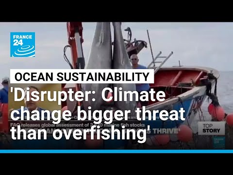 YouTube video thumbnail: Climate Change Disrupting Species’ Habitats and Altering Both Productivity and Seasonality