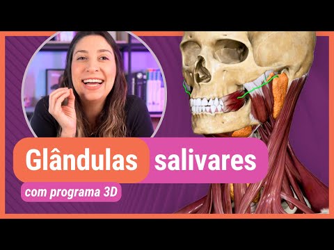 GLÂNDULAS SALIVARES! Com programa 3D
