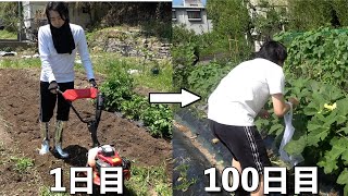 夏野菜をガチで作ってみたら、、！？
