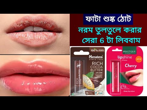 🔅শীতকালের জন্য মার্কেটের সব থেকে কম দামের সেরা ছটা লিপবাম/ঠোঁট ফাটবে না,ঠোঁট নরম তুলতুলে গোলাপি হবে