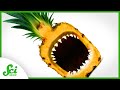 Bromelain and Its Medical Applications