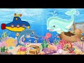 Perbandingan Ikan Pauska dan Lumba-lumba