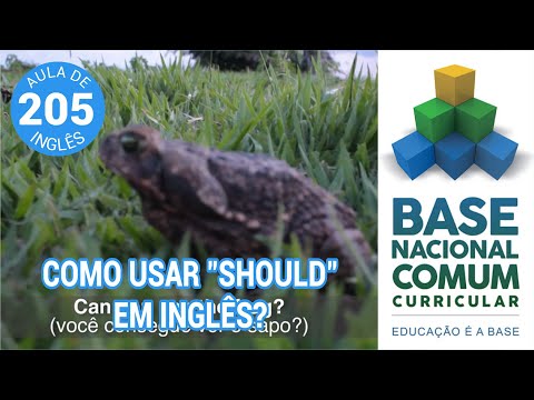 AULA DE INGLÊS  Should para indicar recomendação ou necessidade em inglês BNCC
