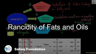 Rancidity of Fats and Oils