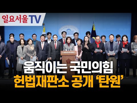 움직이는 국민의힘, 헌법재판소 공개 '탄원'