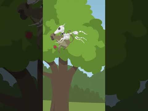 Moti Aur Bandar | One Minute Story | Cartoon | #cartoonanimal