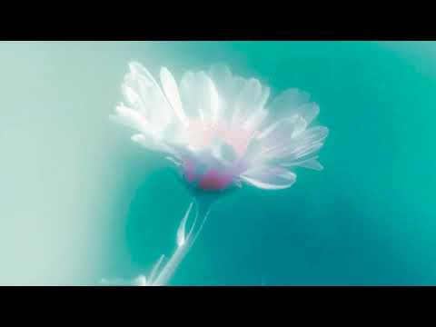 AVAION, oskar med k - Can't Find You (Official Visualizer)