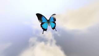 Butterfly by DJ (dyskwalifikacja za użycie komercyjnej muzyki) - PC Demo - Xenium 2025
