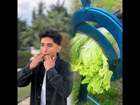 مراحل الاعجاب 😂❤️#pov #funny #video #fyp #foryou #popular