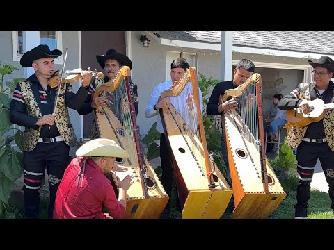 Duelo de grupos de arpas😱 estos 4 grupos tocarán 1 canción y un huapango - Jose Torres 2023