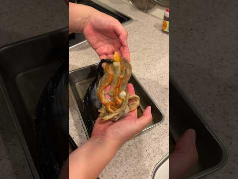 寄生虫がいる貝に200℃の油をかけると。。。#shorts #イケメン