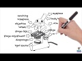 Microscope Operation and Safety Guidelines