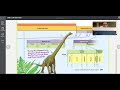 Timeline Activity and Concepts