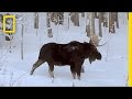 Understanding Video Narratives and Themes