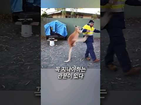 호주에서 출근시간 지각하는 이유