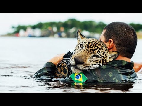 10 Most Inspiring Animal Rescues