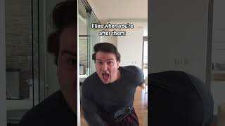 Flies When You're After Them VS When You Ignore Them.