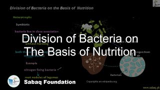 Division of Bacteria on The Basis of Nutrition