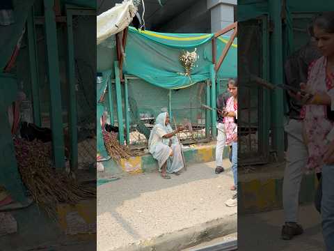 😭माँ क्यो इतना रो रही थी 💔😭#humanity#respect #helping #trending #viralvideo #youtubeshorts