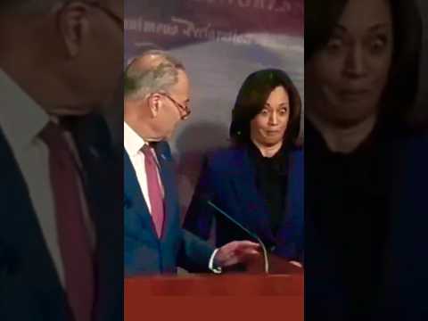 The Democrat Puppetmaster: Trump Was Right Again!