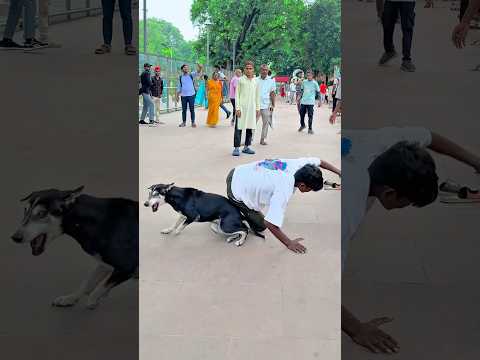 Dog ko payar ❤️krna chahiye 🙏#viraljump #talentedboystunt #dogapparel #funny
