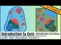 Exploring Prokaryotic and Eukaryotic Cells