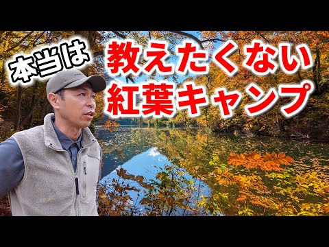 知る人ぞ知る秘境で超絶景の紅葉と秋キャンプ！焚き火で焼いた肉が美味すぎた