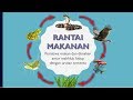 Food Chains and Webs Concepts