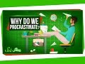 Understanding Procrastination