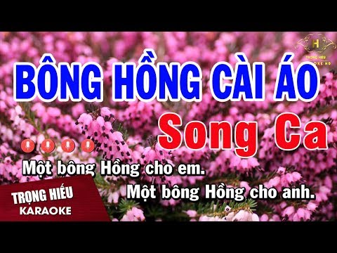 Karaoke Bông Hồng Cài Áo Song Ca Nhạc Sống | Trọng Hiếu