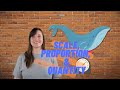 Understanding Scale, Proportion, and Quantity