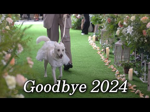 2024년 한 해 복순이와의 추억.zip