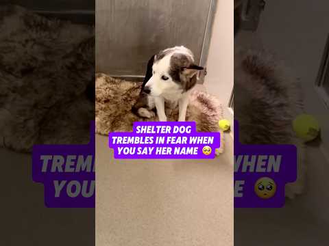 She trembles in fear when you say her name 🥺 but we are all here now to help her that stops now👊