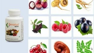 RENATUS NOVA Herbal Dietary Supplement. 9 Ingredient / Composition With Complete Information.
