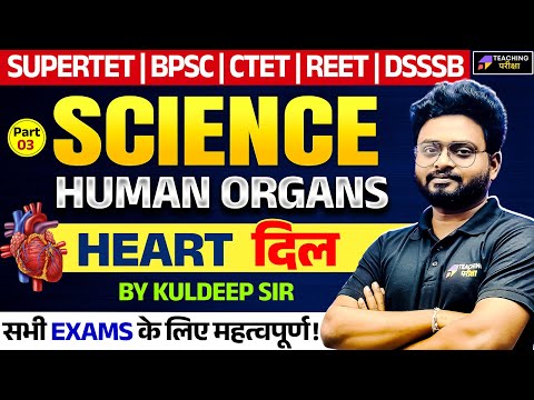 Human Heart: Part 3 - Structure, Function & Anatomy | Science for CTET, UPTET, BPSC, KVS, REET