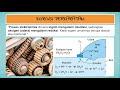 Understanding Corrosion