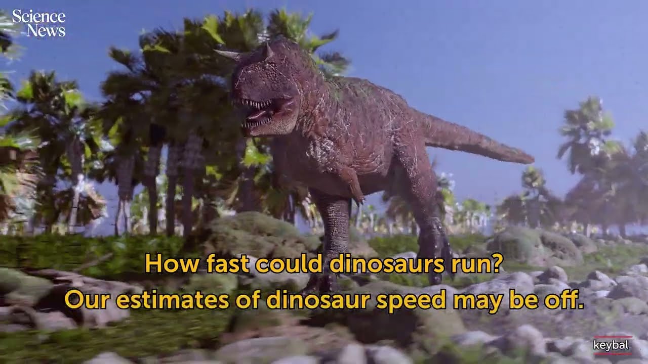 Can birds tell us how fast dinosaurs ran? | Science News