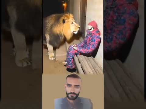 بالقناع هزمت هيبة الأسد، فالقوة أحيانًا مظهر لا جوهر #youtubeshorts #duet