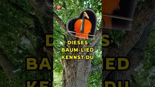 Dieses Baum-Lied kennst Du