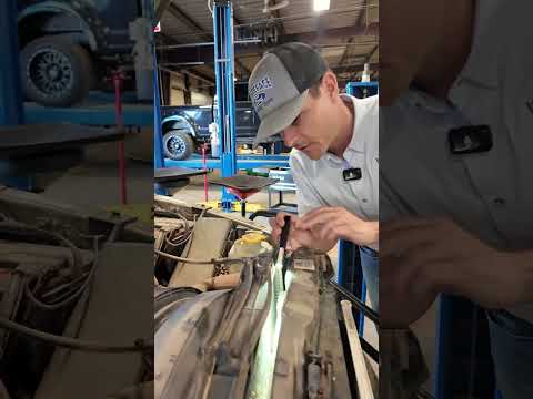 Is Your High Mileage Dodge Worth Fixing? (Pt.1/3) #Shorts