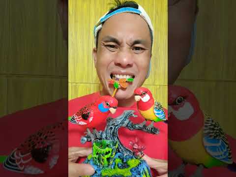 ASMR AMERICA'S🧃🥰ORIGINAL DUBBLE BUBBLE GUM (3 FRUIT FLAVORS) AND...Part2