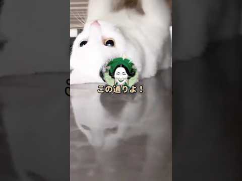 【泥ママ】遺産を総取りするために"遺言書"を書き換えた泥ママの末路w