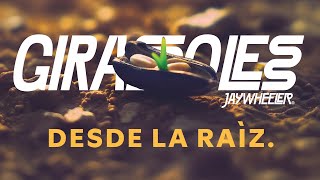 Girasoles - Desde la Raíz [Documentarie]