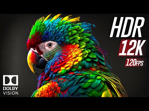 12K HDR 120fps Dolby Vision | Relaxing Music (Colorfully Dynamic)