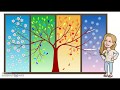 Evergreen vs Deciduous Trees